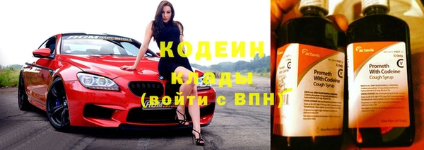 стаф Богданович