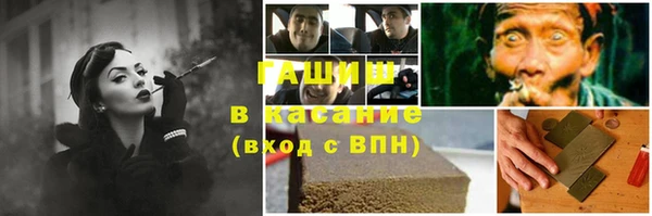 стаф Богданович