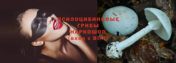соль курить ск Богородицк