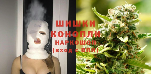 стаф Богданович