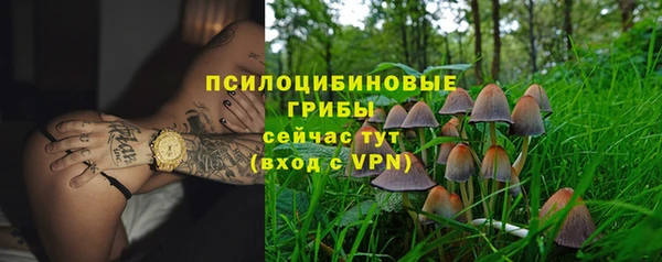 стаф Богданович