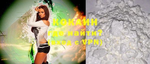 стаф Богданович