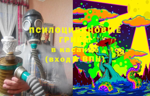 2c-b Богородск