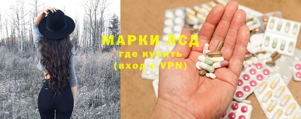 стаф Богданович