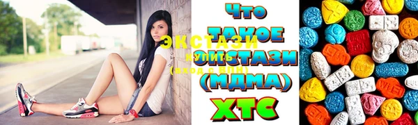 стаф Богданович