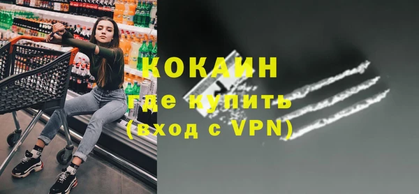 стаф Богданович