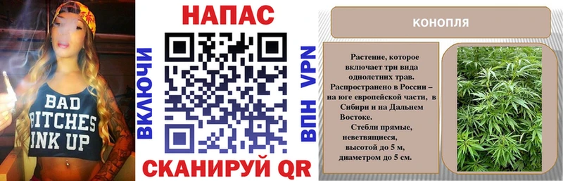 Шишки марихуана Amnesia MEGA рабочий сайт Демидов